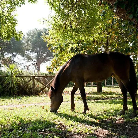 Agriturismo La Cerquetta Lantgård *